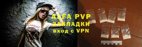индика Богородск