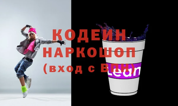 индика Богородск