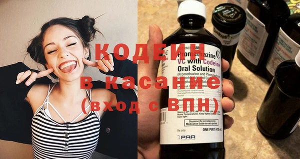 индика Богородск
