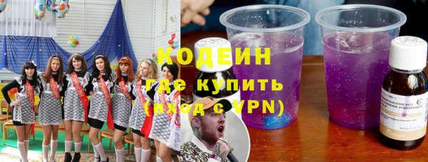 индика Богородск