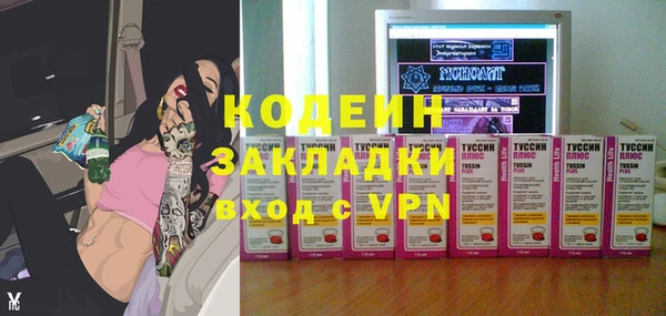 индика Богородск