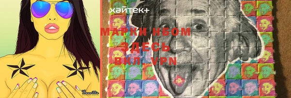 индика Богородск