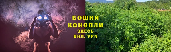 индика Богородск