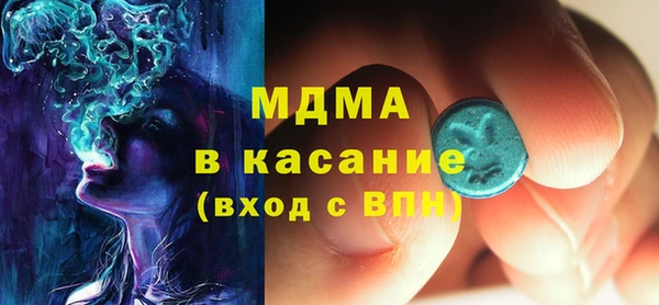 индика Богородск