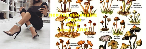COCAINE Белокуриха