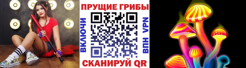 Псилоцибиновые грибы прущие грибы  OMG ТОР  Кольчугино 