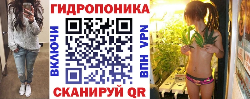Конопля OG Kush Кольчугино